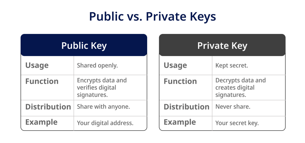 Public vs. Private Keys